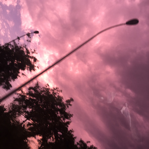 纸壳厂偷拍视频在线观看
