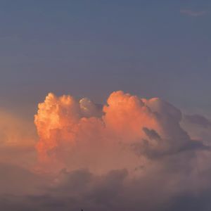 纸壳厂偷拍视频在线观看
